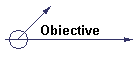 Obiective